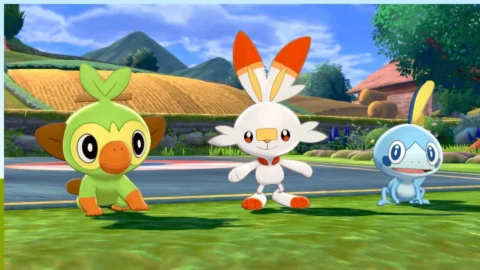 Pokémon Shield4
