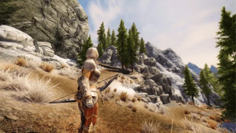 The Elder Scrolls V Skyrim 3