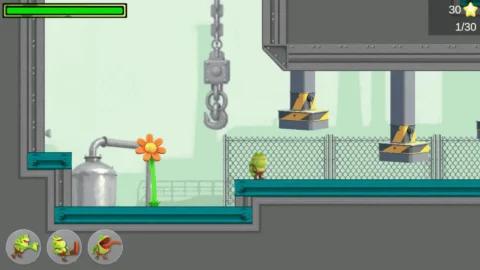 The Frog’s Adventure