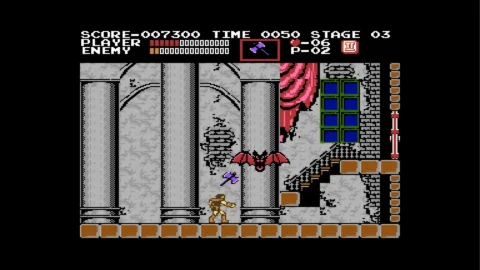 Castlevania Anniversary Collection (2)