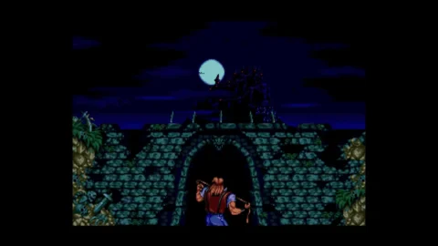 Castlevania Anniversary Collection (5)