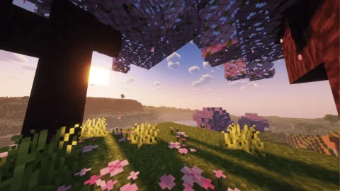 Minecraft