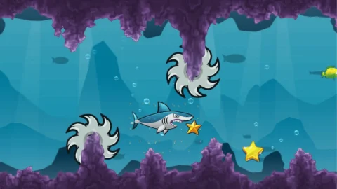 Shark Adventure (2)_1