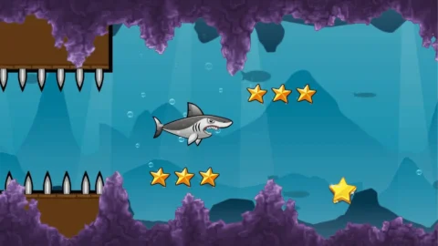 Shark Adventure (3)_1