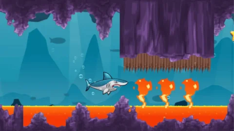 Shark Adventure (4)_1
