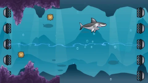 Shark Adventure (5)_1