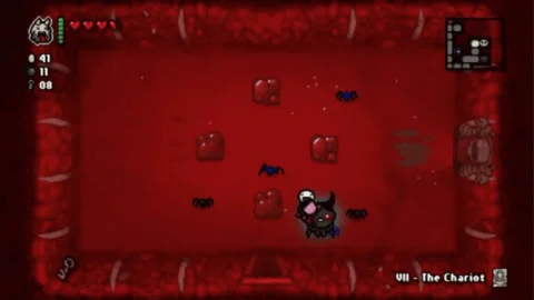 The Binding of Isaac Afterbirth (3)