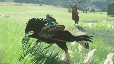 The Legend of Zelda Breath of the Wild (3)