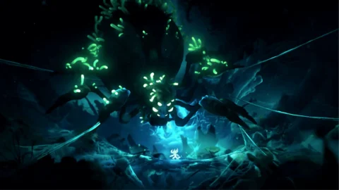 Ori and the Will of the Wisps ROM (4)