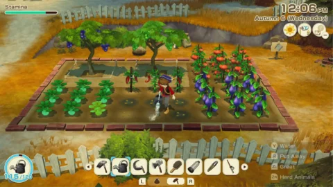 STORY OF SEASONS Grand Bazaar ROM image (3)
