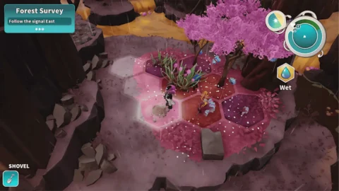 Distant Bloom ROM (4)