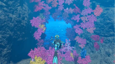 Endless Ocean Luminous ROM (1)
