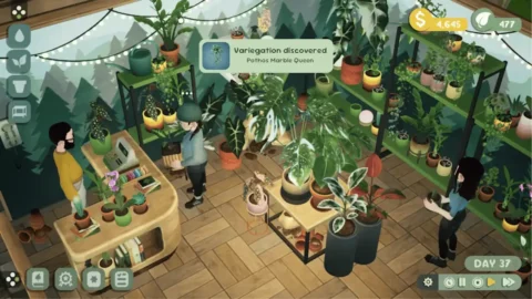 Leafy Corner Switch ROM (4)