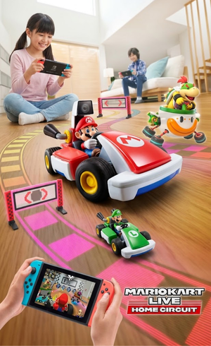 Mario Kart Live Home Circuit ROM (1)