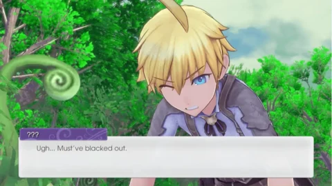 Rune Factory 5 Switch ROM (1)
