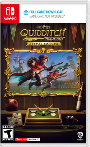 Harry Potter Quidditch Champions (1)