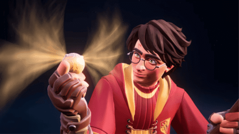 Harry Potter Quidditch Champions (4)