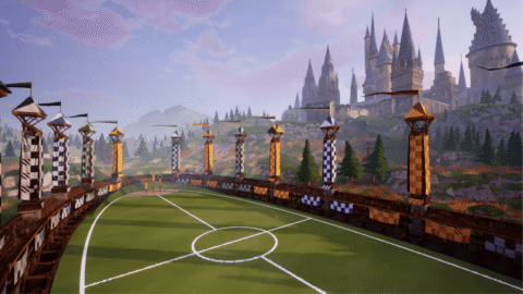 Harry Potter Quidditch Champions (5)