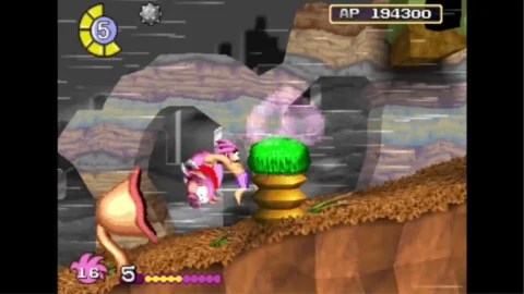 Tomba! Special Edition ROM (3)