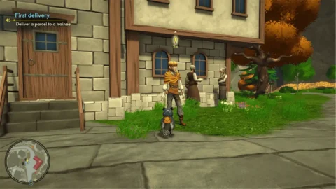 Wizards Owl Magic Delivery Switch ROM (3)